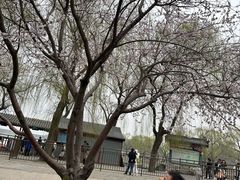 -皇家御河游(紫御湾码头)