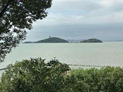 -上海市保健医疗中心