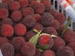 -东山风景区(洞庭东山)