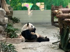 -灵玲国际马戏城