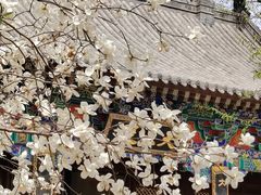 -护国法轮寺