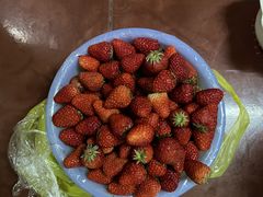 -江杨农产品批发市场