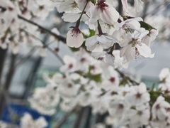 -四川北路(地铁站)