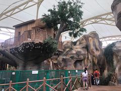 -杭州开元森泊度假乐园