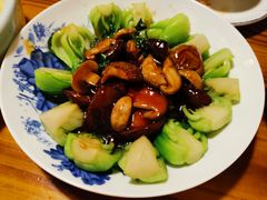 双菇菜心-兴农记