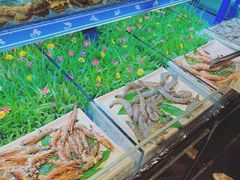 -蟹将军·松叶蟹和牛日料放题自助(K11店)