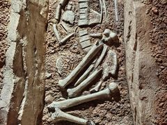 -迪庆藏族自治州博物馆