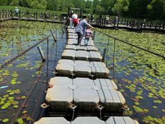 -溱湖国家湿地公园