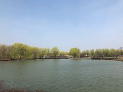 -长兴太湖图影湿地文化园