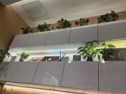 -希梵尔头皮抗衰·科技养发