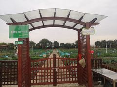 -上膳源有机农场