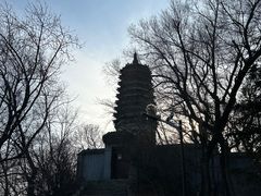 -高尔山公园