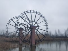 -泗洪洪泽湖湿地景区