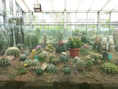 -上海植物园-4号门售票处