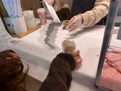 -兰熊鲜奶(西直门凯德mall店)