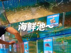 -范饭椰林川湘味海鲜·椰子鸡(三亚湾椰梦长廊店)