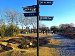 -北龙湖湿地公园