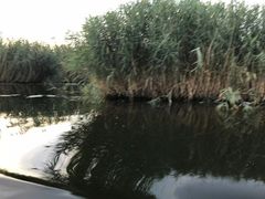 -白洋淀景区