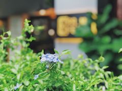 -转山咖啡(松柏社区店)