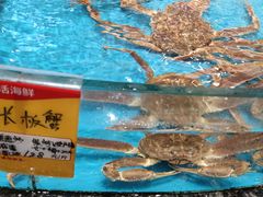 -舌尖上·霞浦滩涂海鲜·新闽菜(总店)
