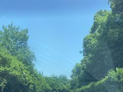 -平湖九龙山旅游度假区
