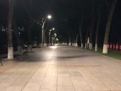 -人民防洪胜利纪念塔