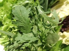 -草原塞蛮羊火锅城(港湾店)