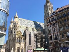 -斯蒂芬主教座堂(Stephansdom)