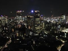 -东京塔海贼王主题公园