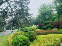 -棒棰岛宾馆景区