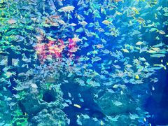 -成都浩海立方海洋公园