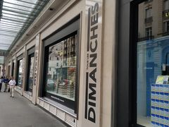 -乐蓬马歇百货公司(Rive Gauche)