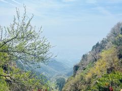 -泰澜·泰式古法按摩SPA(华泰广场店)