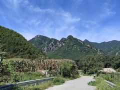 -大连天门山国家森林公园