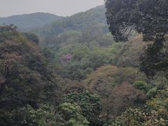 -广州市白云山风景名胜区