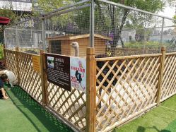 -萌宠亲子动物乐园(槐房万达店)