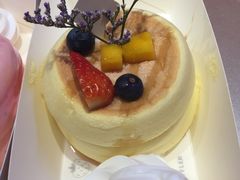 -狐狸和向日葵(北京路店)