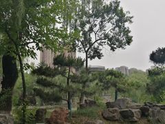 -西安市长乐公园