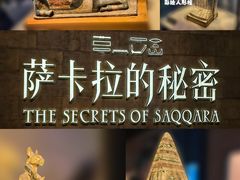 -上海博物馆