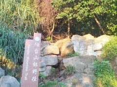 -阳台山森林公园