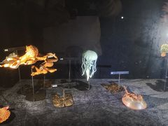 -同济大学四平路校区深海探索馆