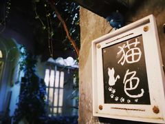 -猫色咖啡·猫咖