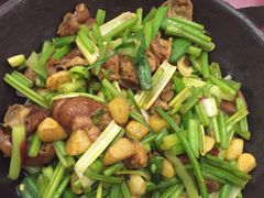 -金豆角砂锅焖面(安贞店)