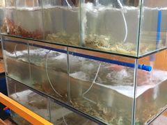 水产区-蓝湾碧波·老字号·疍家非遗海上餐厅