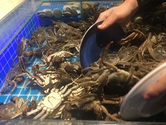 -万象·复兴号鲜肉烤肉海鲜自助(升级店)
