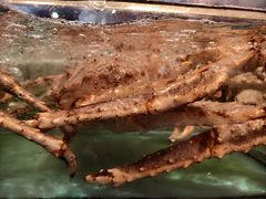 -德兴海鲜渔港(辉煌大厦店)