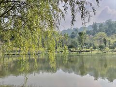 -东莞植物园