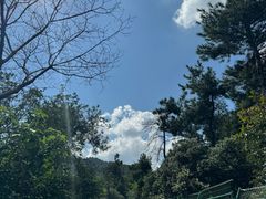 -树山生态村