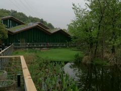 -西湖风景区-江洋畈生态公园