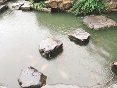 -合肥滨湖国家森林公园